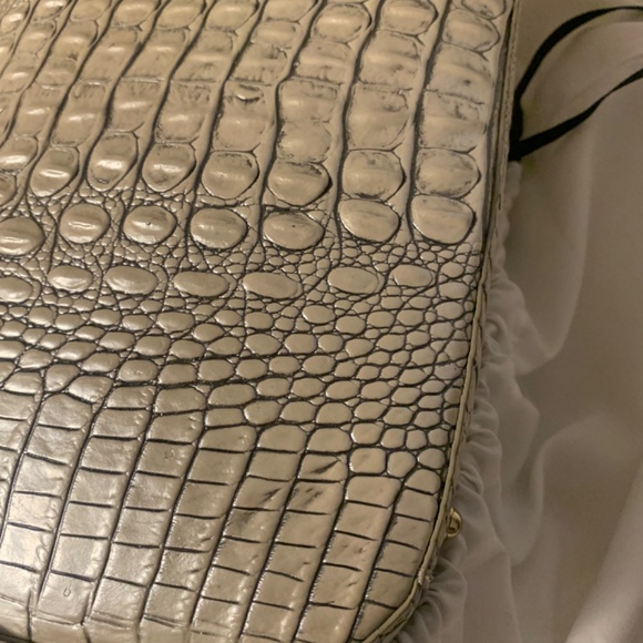 New Brahmin - Picture 8 of 9